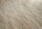 Parkiet lity Dąb Rustic  lakierowany/olejowany fazowany 16x70x500mm 